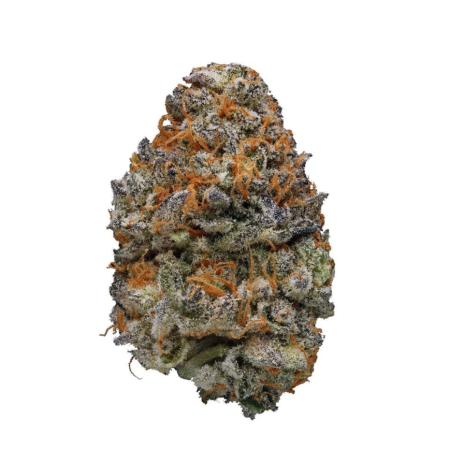 Buy animal cookies strain
