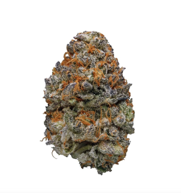 Buy animal cookies strain