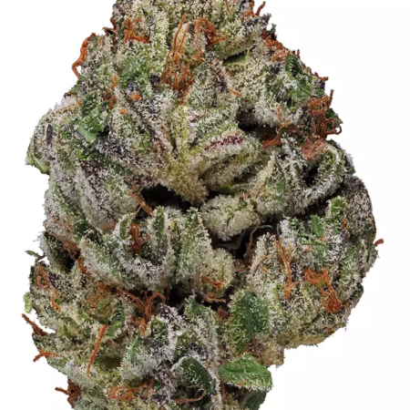 Buy Birthday Runtz Hybrid Strain