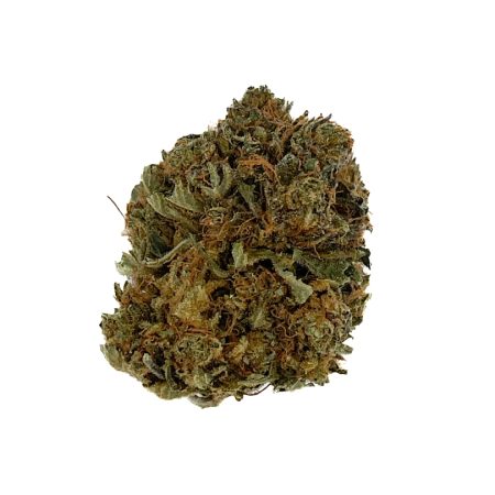 buy bc rockstar kush strain