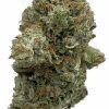 buy lindsay og hybrid canada