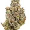 Buy Cookies and Cream Hybrid