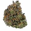 GEORGIA PINE Hybrid (AAA)