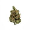 Hindu Kush Indica (B)
