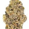 RUNTZ Hybrid (AAA)