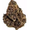 Tropic Truffle – Hybrid (AAA)