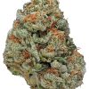 Buy Alien OG Strain
