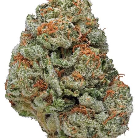 Buy Alien OG Strain