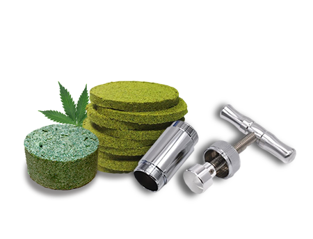 KIEF