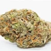 PEYOTE CRITICAL - Indica (AAAA)