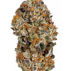 Tangie Cookies Strain