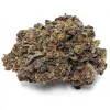 PURPLE SPACE COOKIES - Indica (AA)