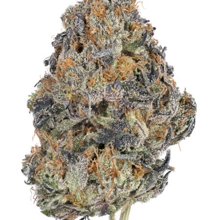 EL CHAPO OG Indica AA Strain