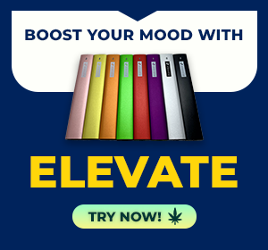 Elevate online