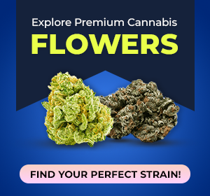 cbd dried flower