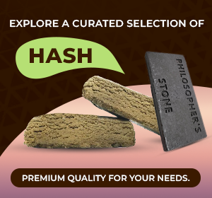 hash online Canada