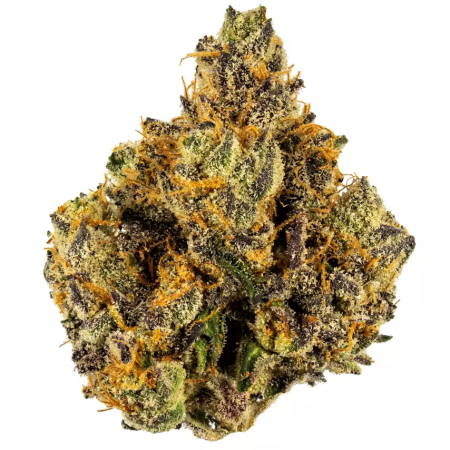 Mango OG Hybrid AA Weed Strain