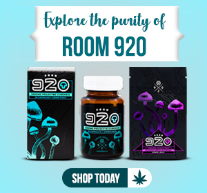 Room 920 edible