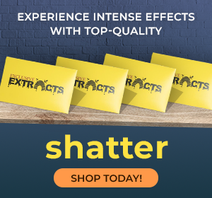 bulk shatter online canada