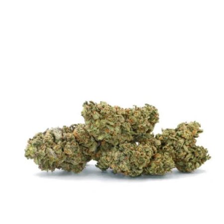 Buy Jack Herer Sativa Strain