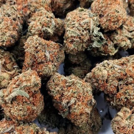Buy GMO Cookies Strain