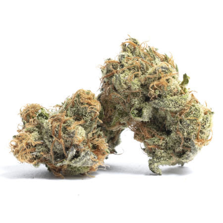 Buy Purple Diesel Strain
