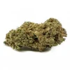 Buy BC Bud Strain