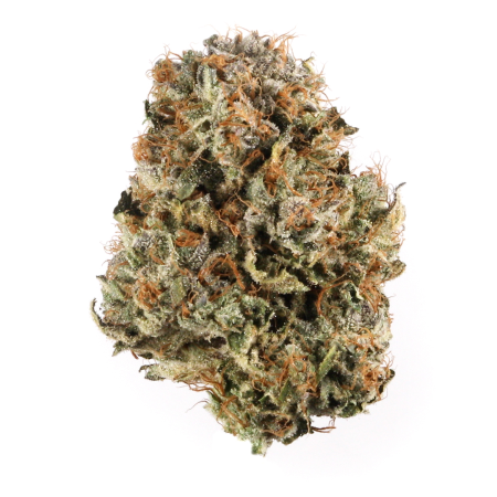 Buy Blue Cheese Strain