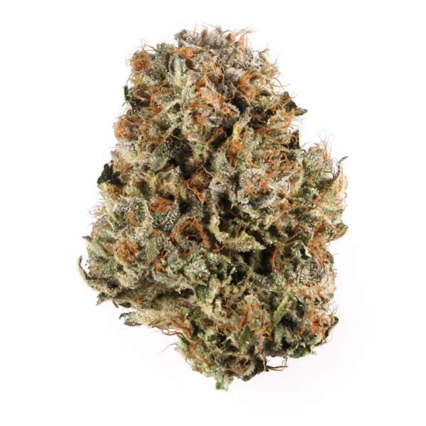 Buy Blue Cheese Strain
