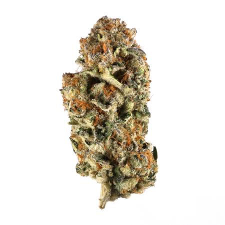 Buy jean guy weed strain